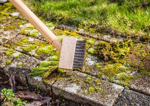 Gu&iacute;a f&aacute;cil para eliminar yuyos que crecen en baldosas, desag&uuml;es, grietas y otros lugares ins&oacute;litos