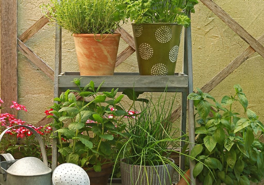 plantas Distribuir las plantas en distintos niveles ayuda a aprovechar mejor la luz y el espacio.