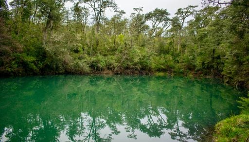 Gu&iacute;a para visitar la Laguna Verde: un sorprendente tesoro natural a menos de 50 km de Puerto Varas