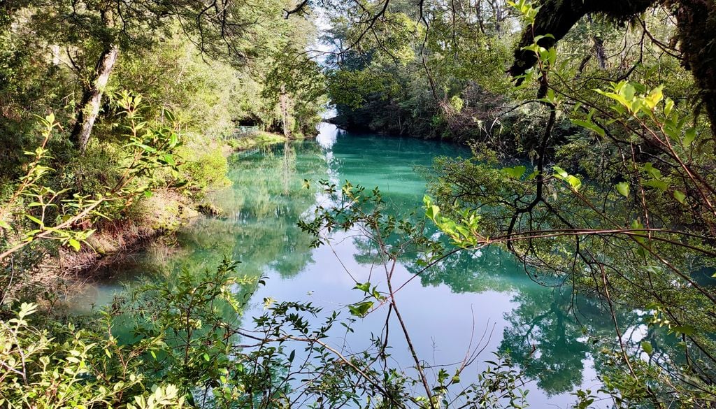 El color verde esmeralda de la laguna se debe a la presencia de microalgas. Crédito: Catalina Contreras.