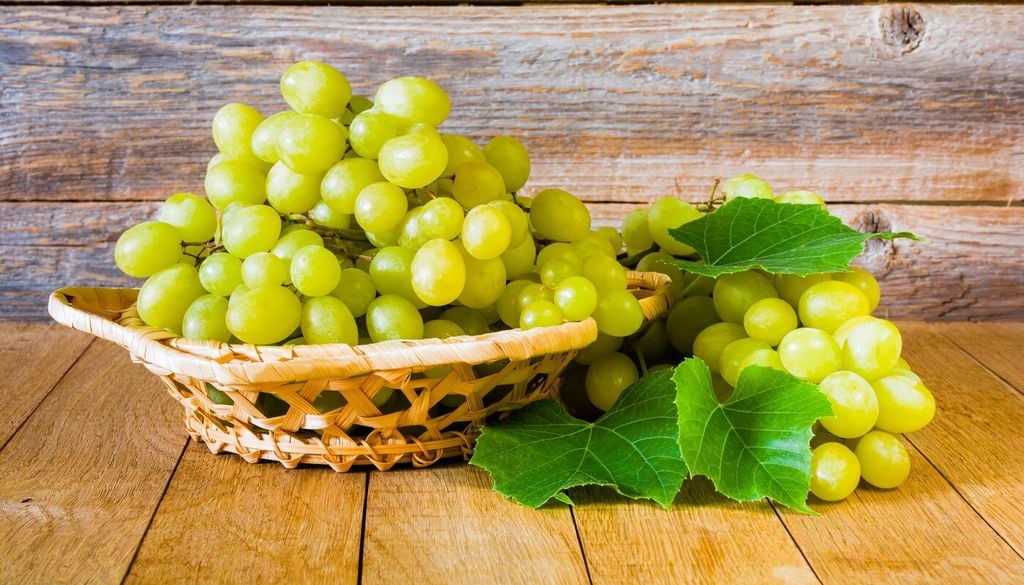 Raccogliere l'uva al momento giusto