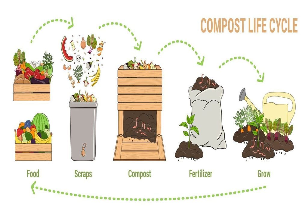 Nel ciclo di vita del compost i lombrichi svolgono un ruolo chiave
