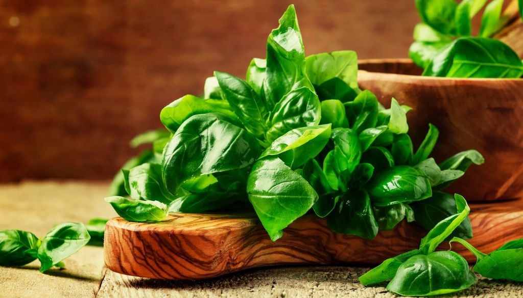 Raccogli spesso le foglie
