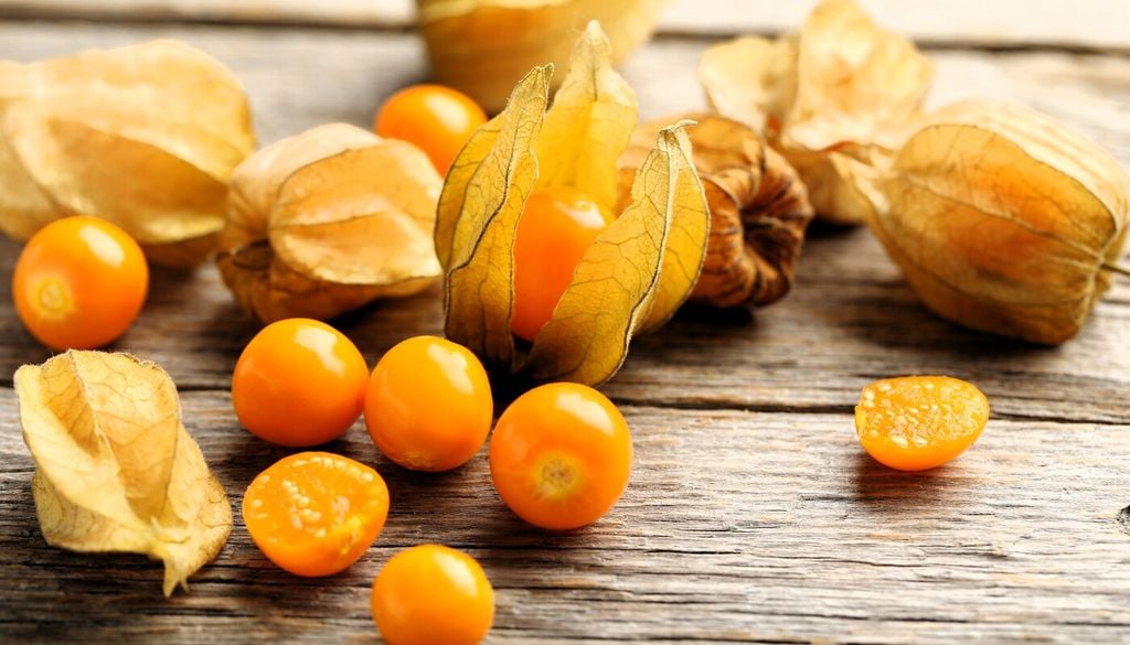 Le proprietà del frutto