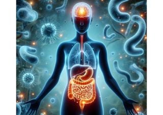 Gut feeling: Did we evolve larger brains because of the microbes in our gut?