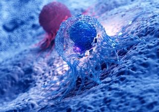 Gute Nachrichten aus der Krebsbek&auml;mpfung liefert die TU Dresden zum Jahresende!