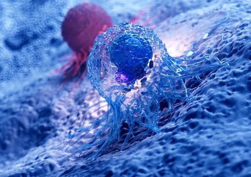 Gute Nachrichten aus der Krebsbek&auml;mpfung liefert die TU Dresden zum Jahresende!