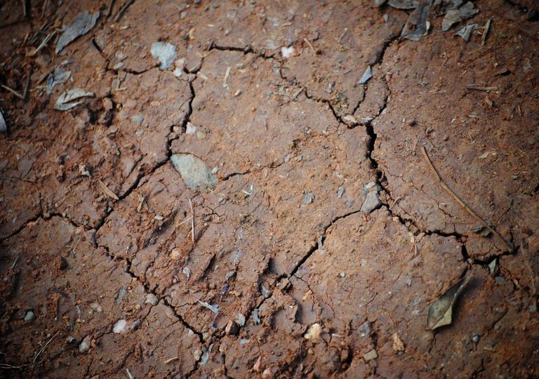 Le changement climatique pose des problèmes aux producteurs de café. Il leur présente toujours de nouveaux défis. Le changement climatique pose des problèmes aux producteurs de café. Il leur présente toujours de nouveaux défis.