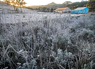 Onda de frio no Sul do Brasil: neve, geada e demais precipitações invernais; confira regiões que serão afetadas