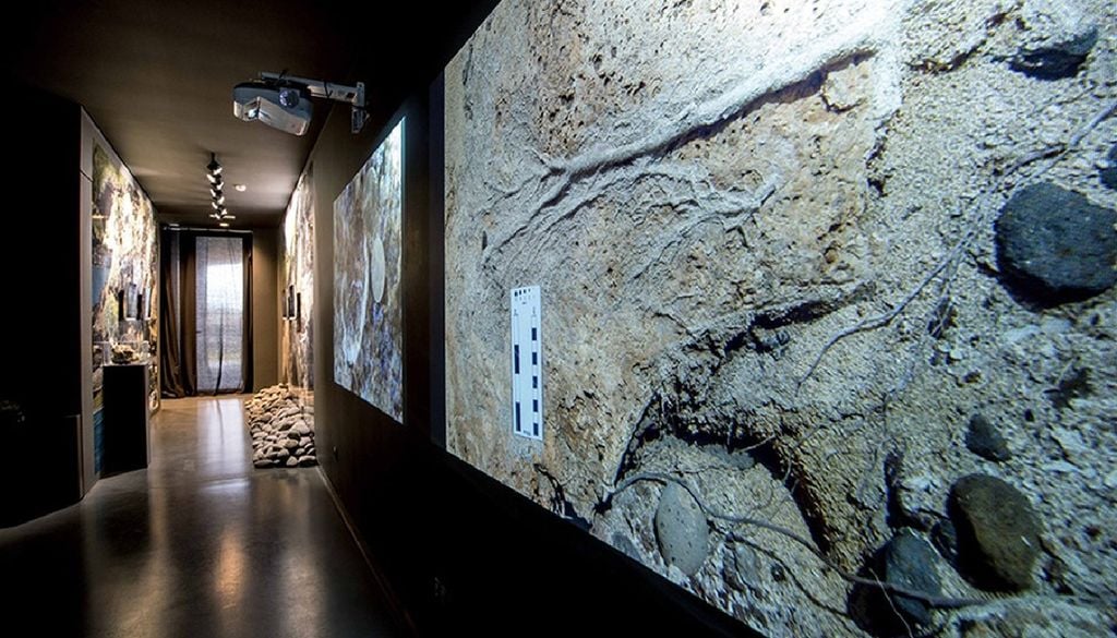 Casa dos Fósseis, Paleoparque de Santa Maria A Casa dos Fósseis, em Vila do Porto, reúne parte do património paleontológico de Santa Maria e aproxima o público de milhões de anos de história da ilha. Foto: Universidade dos Açores