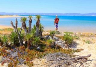 Há uma ilha deserta paradisíaca escondida em Portugal 