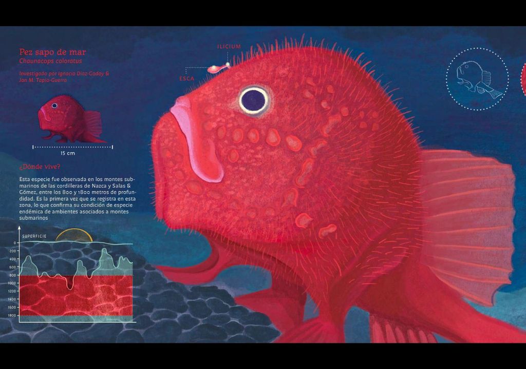 Ilustración del libro