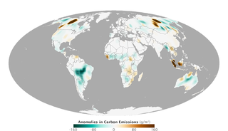 Haciendo balance de las emisiones de incendios en 2014