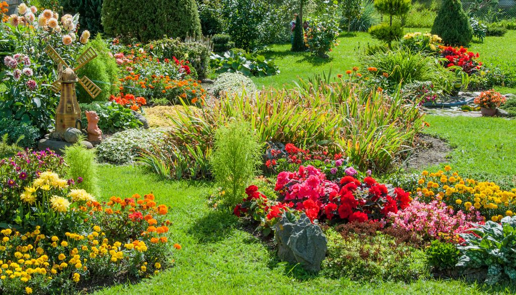 Mit dem richtigen Standort kann der Hibiskus problemlos den Garten verschönern