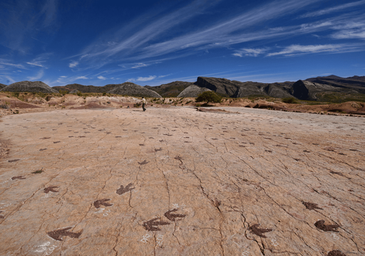 Hallan en Bolivia miles de huellas de dinosaurios que caminaron por lo que hace millones de años fue una costa