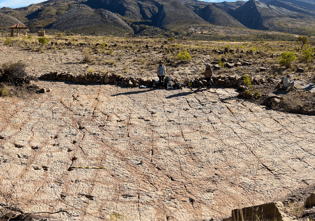huellas fósiles huellas fósiles