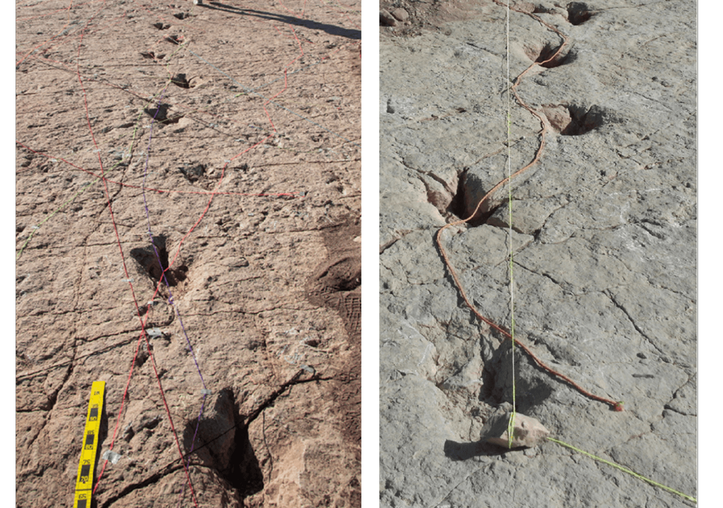 huellas fósiles huellas fósiles