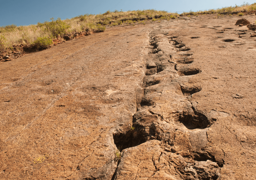 huellas fósiles huellas fósiles
