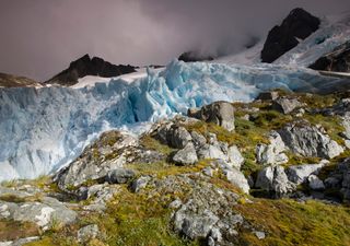 Hallan más evidencia de que la Antártida fue un bosque verde y frondoso