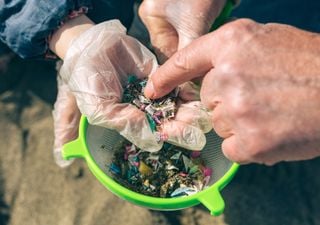 Hallan microplásticos en 9 lagos patagónicos