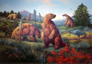 Hallaron los restos de una gran bestia de 7 metros de alto que vivió en la era de hielo, en un camping de Entre Ríos