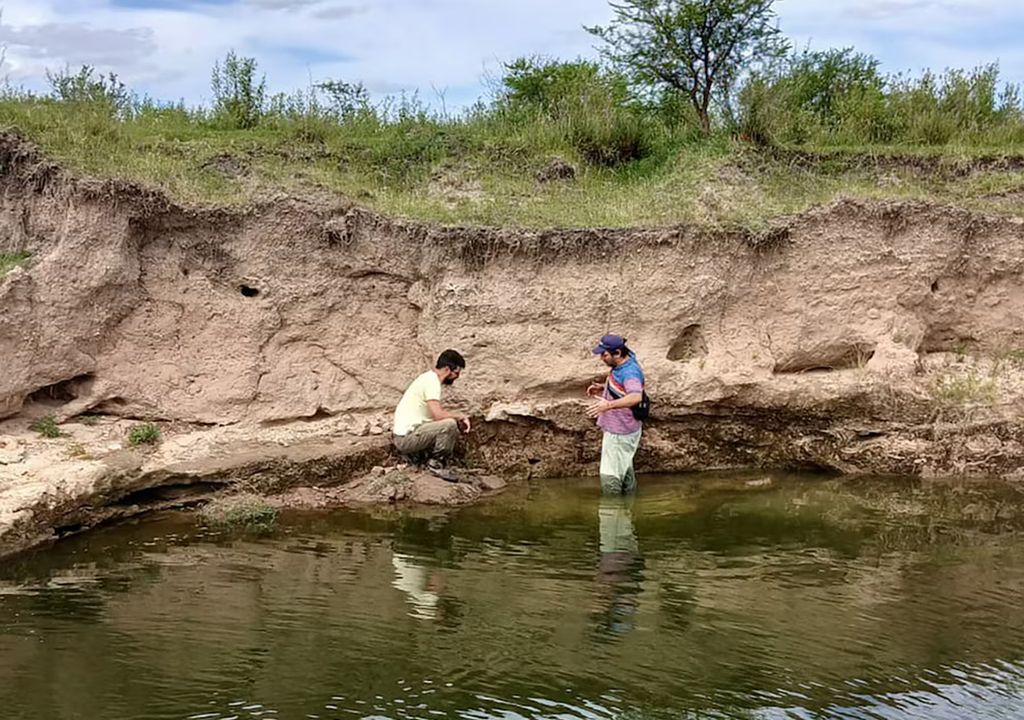 Investigadores perezoso