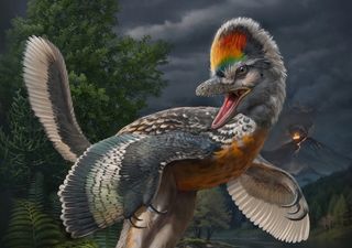 Paleontólogos chinos encuentran un nuevo vínculo fósil que podría reescribir la historia de las aves