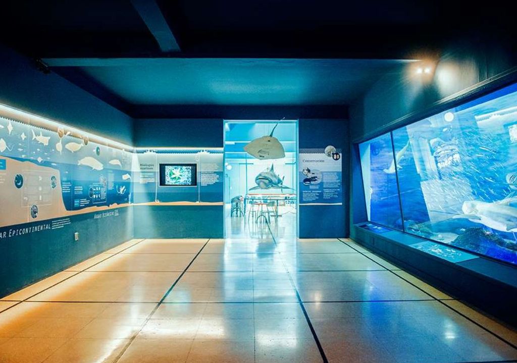 Sala Misterios del Mar Sala Misterios del Mar