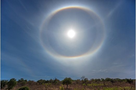 Halo Africano Halo Africano