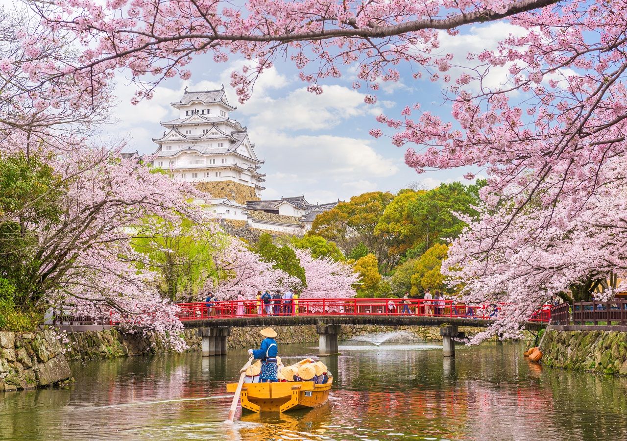 La floración de los cerezos en Tokio vuelve a alcanzar un récord de  antelación