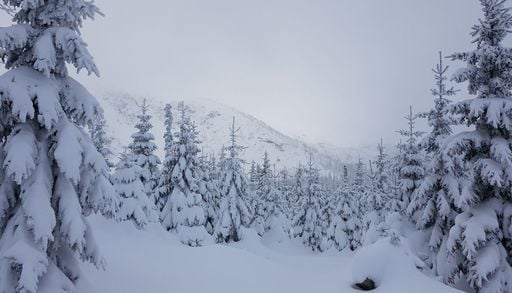 &bdquo;H&auml;ngt das Laub bis in den November hinein, wird der Winter lange sein&ldquo;: Droht uns nun ein langer Winter?