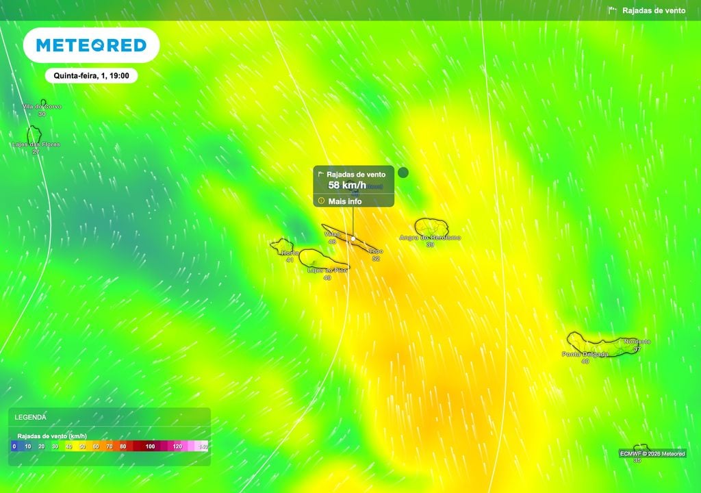 O campo de rajadas previsto pelo ECMWF evidencia um corredor de vento mais intenso sobre o Grupo Central, particularmente entre as ilhas de São Jorge, Pico e Terceira, com valores localmente próximos dos 60 km/h.