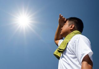 'Hasta 25 °C': miércoles 01 con viento de 60 km/h, será la antesala del caluroso jueves 02 en el Biobío, según Meteored