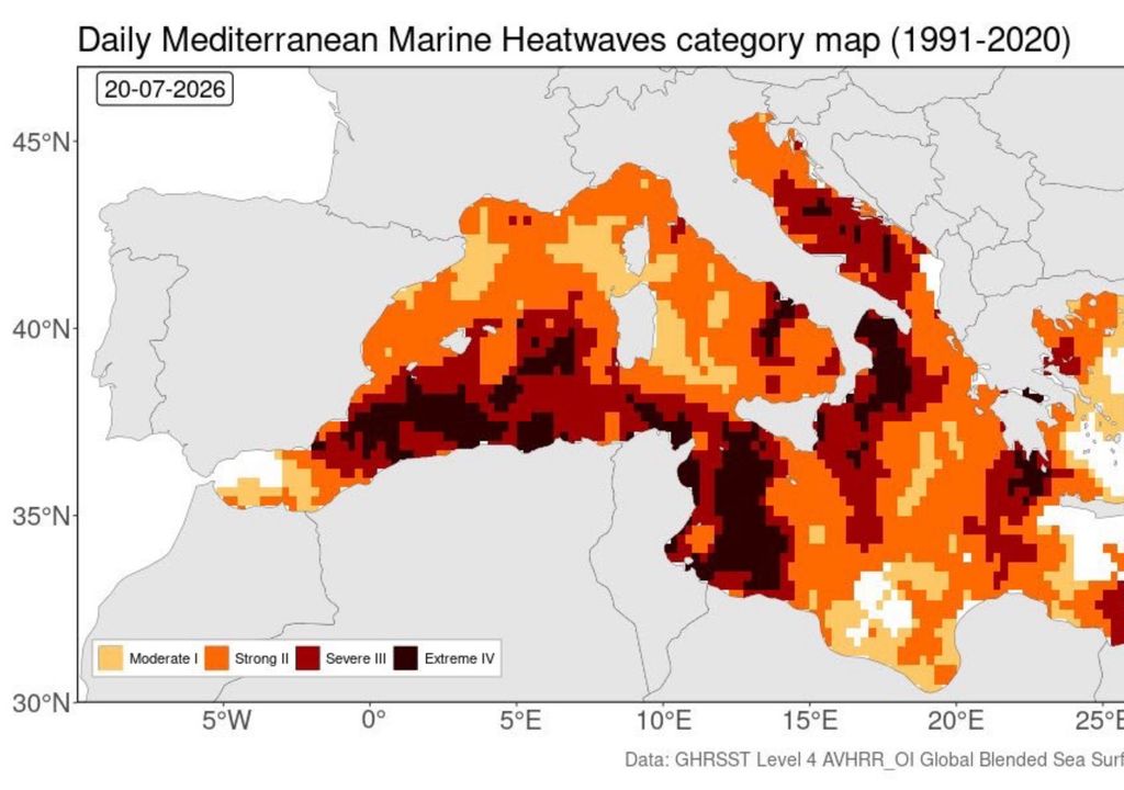 Categoría de ola de calor marina caracterizada por el CEAM para el 20 de julio.