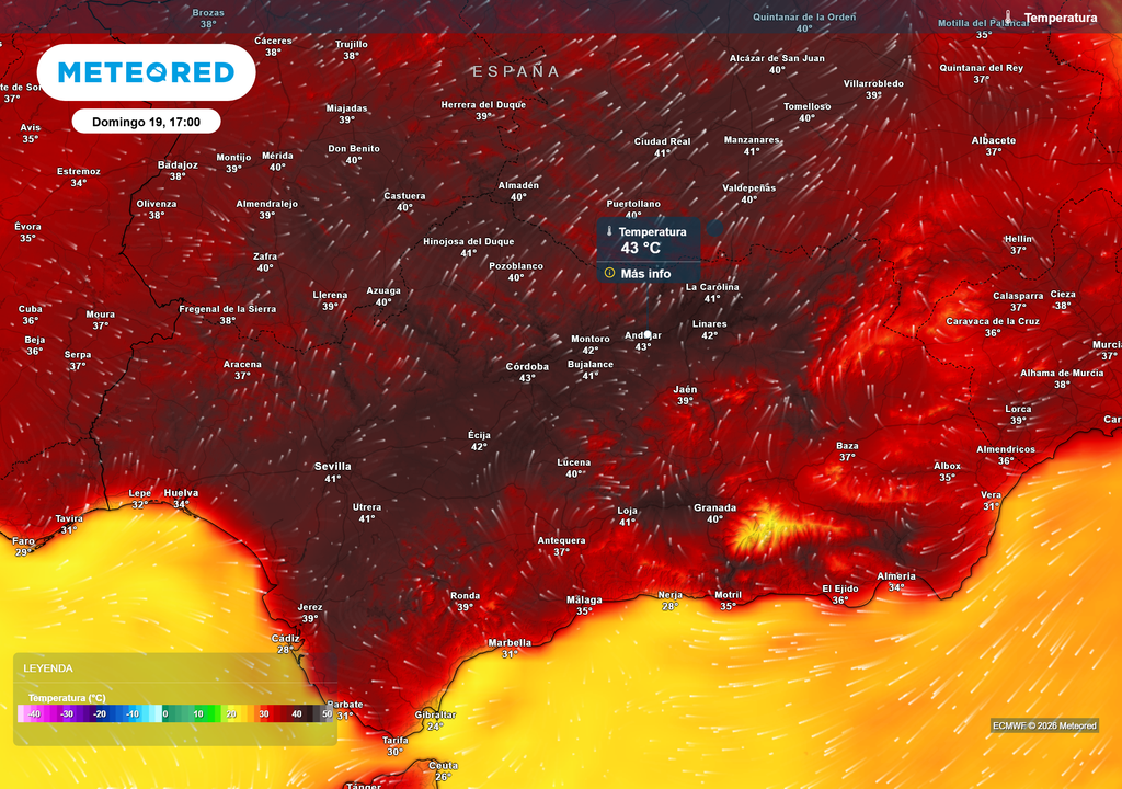 Las temperaturas superarán los 40 ºC en amplias zonas de la región.