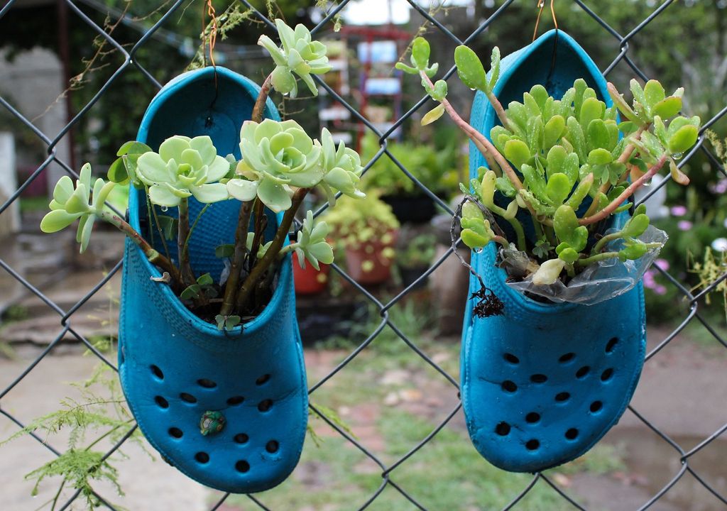 zapatos azules con plantas zapatos azules con plantas