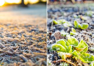 Hasta -6 ºC y amenaza agrometeorológica por heladas prevé la DMC en varias regiones de Chile