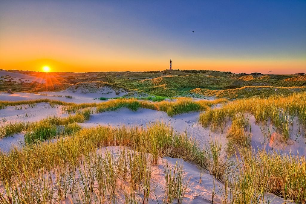 Zur einzigartigen Küstenlandschaft gehören auch die Dünen. Foto: Adobe Stock
