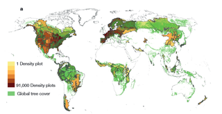 Hay ocho veces más árboles en el mundo de lo que se pensaba