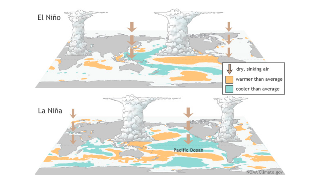 Representación esquemática de las fases de El Niño y La Niña, en la que el color naranja representa el calentamiento, el azul el enfriamiento, las nubes indican una mayor convección y las flechas señalan las zonas donde el aire desciende, lo que dificulta la formación de nubes y lluvia. Créditos: NOAA.