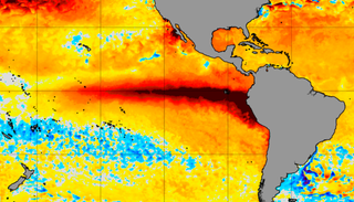 Hechos, noticias falsas y desinformaci&oacute;n: todo lo que necesitas saber sobre el fen&oacute;meno del super El Ni&ntilde;o