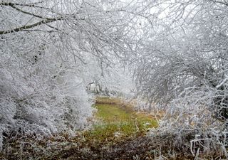 Heftiger Temperatursturz bringt vorübergehend wieder Nachtfrost!