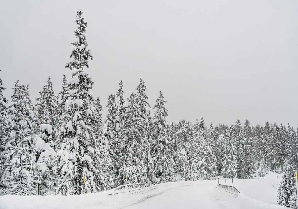 winter, palmsonntag, wetter winter, palmsonntag, wetter