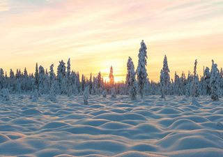 Heiligabend 2026: Rekord-El-Ni&ntilde;o trifft auf Polarwirbel &ndash; ausgerechnet diese Regionen k&ouml;nnten jetzt im Schnee versinken