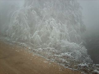 Heladas de Munárriz (Navarra)