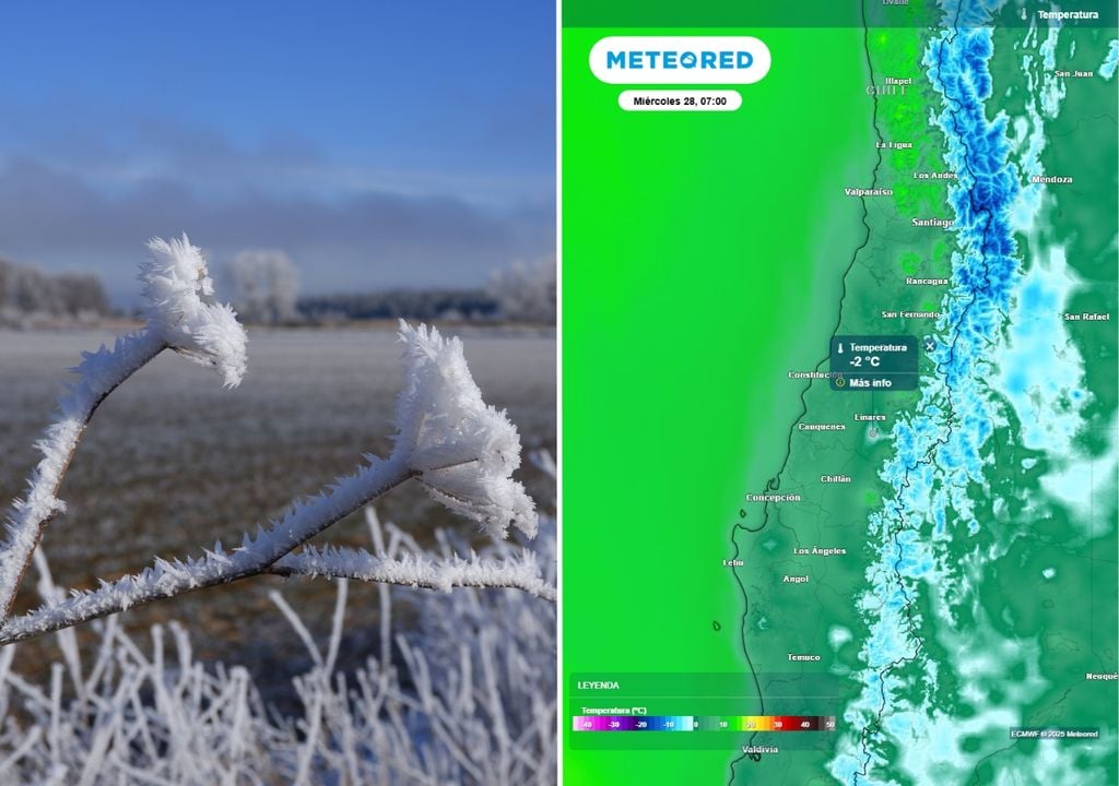 planta con hielo y mapa de temperaturas