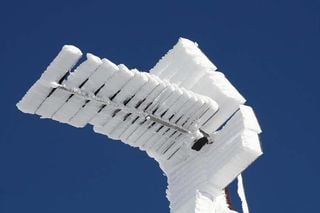 Heladas pirenaicas de diciembre de 2005