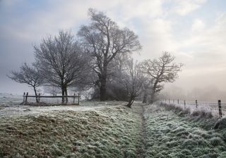 A prepararse para las heladas: potente masa de aire frío a la vista