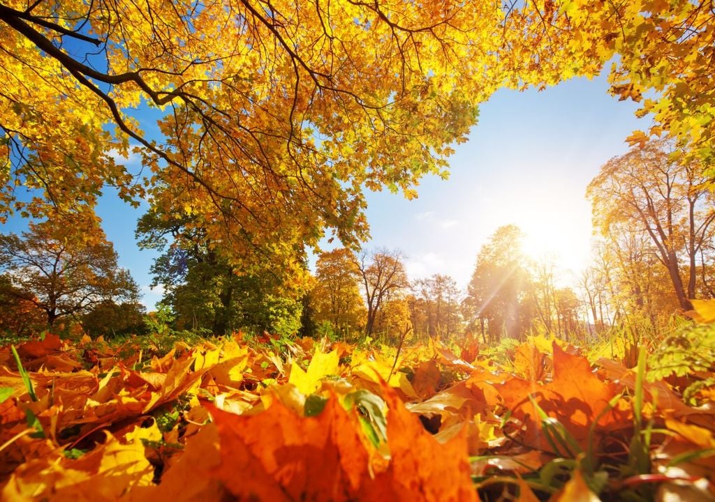 hitze, oktober, wetter In den kommenden Monaten könnte das sehr warme Wetter anhalten. Für den Oktober rechnen die Langfristwettermodelle mit viel Wärme.