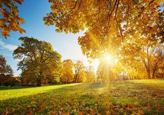 Was macht den Herbst so faszinierend? 8 tolle Fakten über die bevorstehende Jahreszeit!